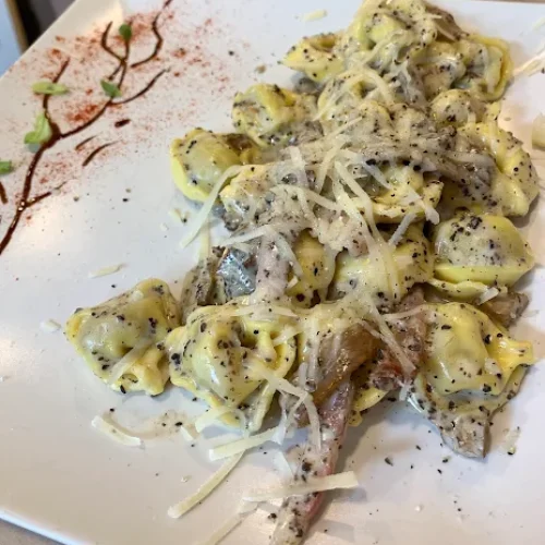 plato 5